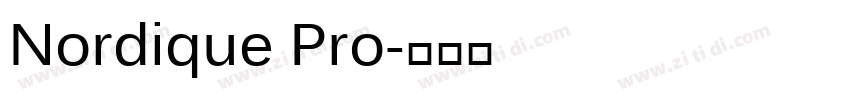 Nordique Pro字体转换